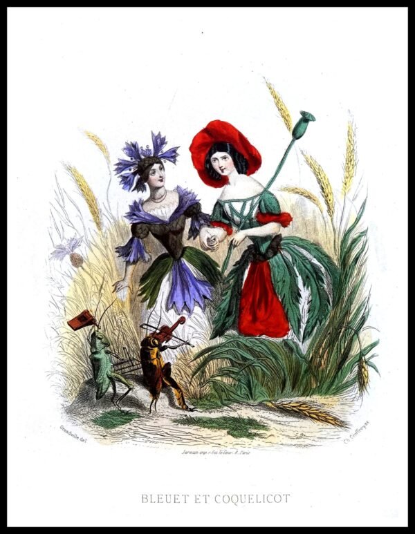 ALP F11222 Animees (small) (Antique Prints)